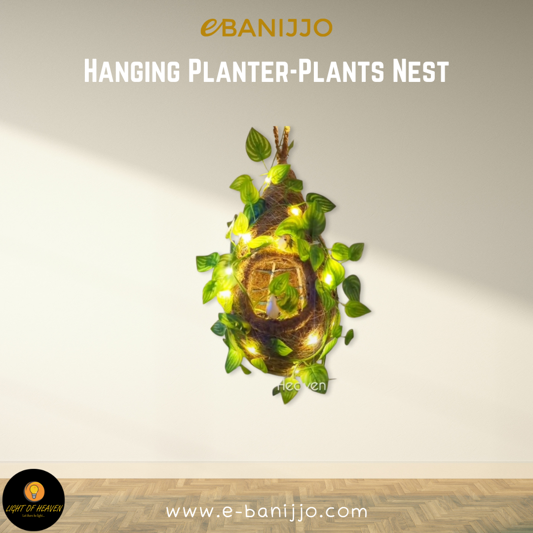 Hanging Planter- Plants Nest