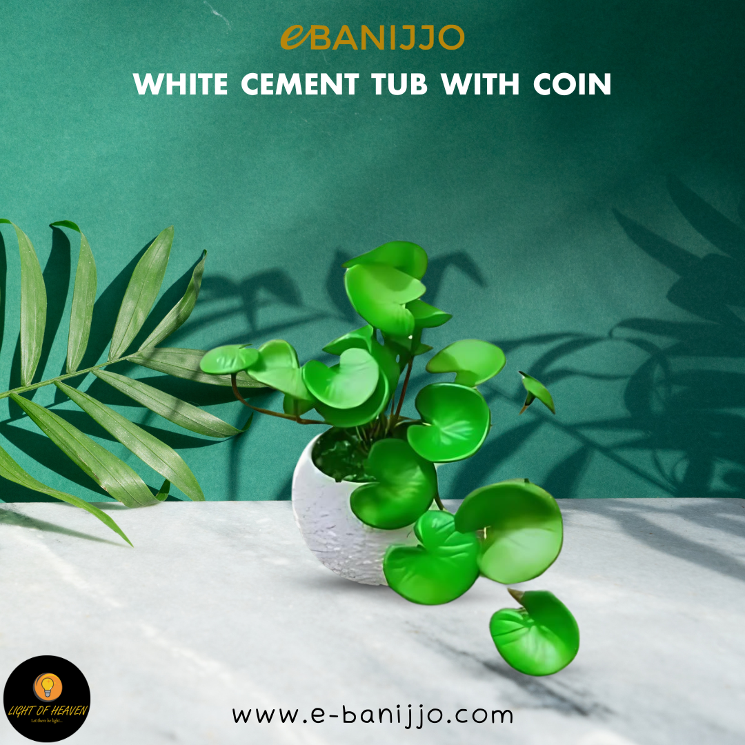 White Cement Tub with Coin