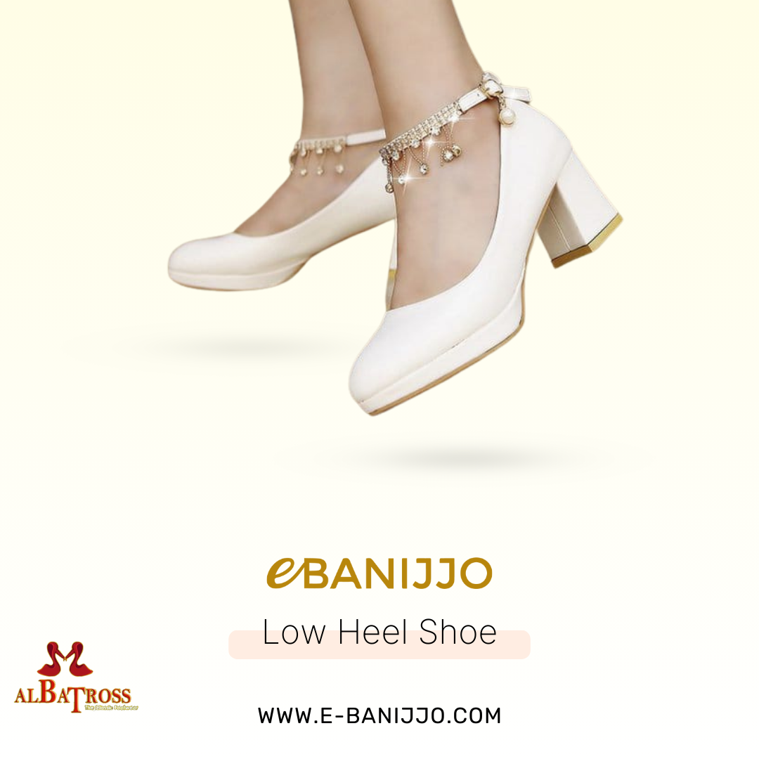 Low Heel Shoe