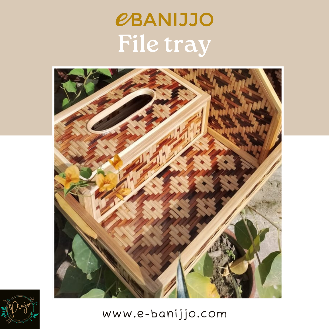 File tray