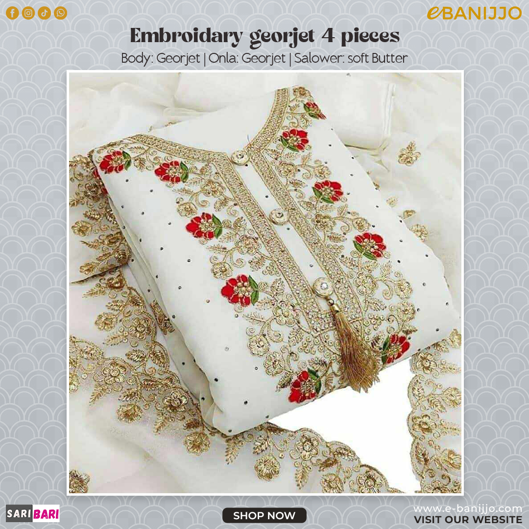 Embroidery Georgette 4 piece