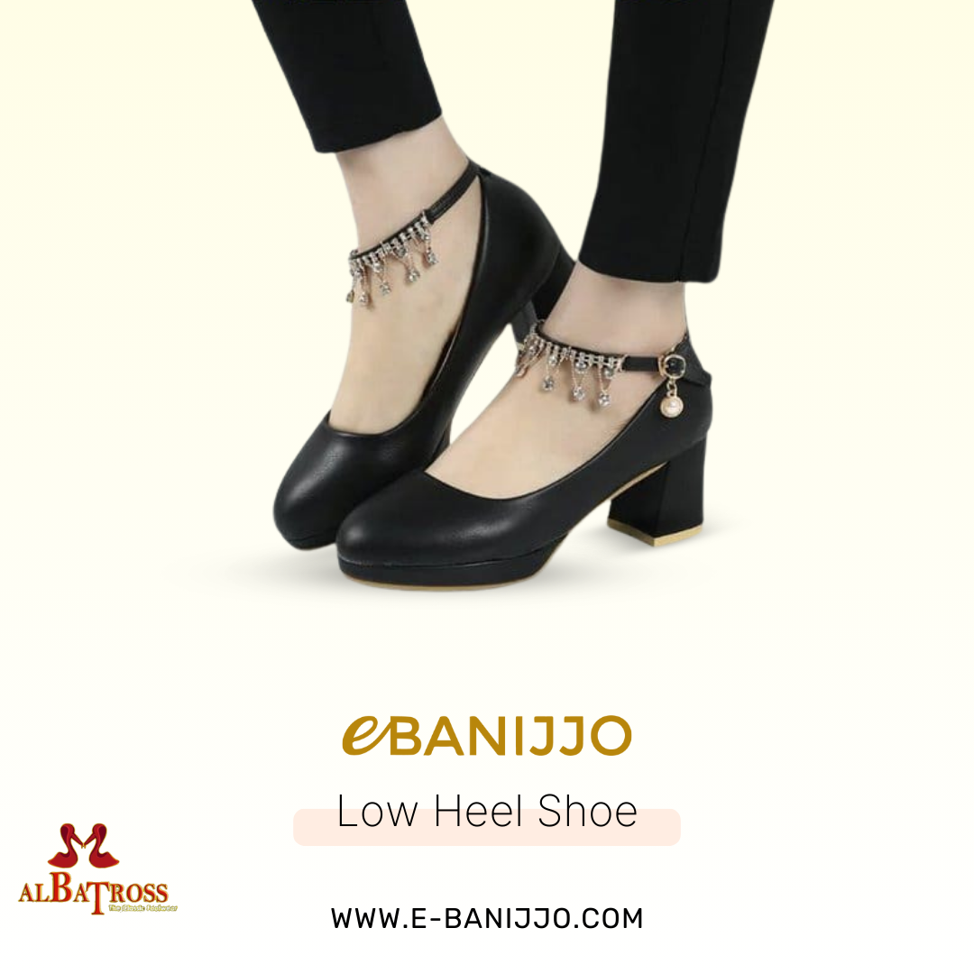 Low Heel Shoe